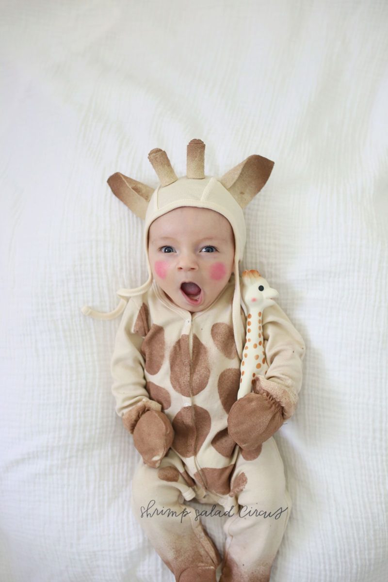 sofie the giraffe costume