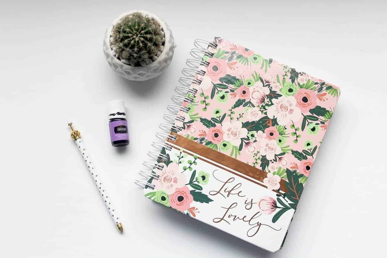 notepad and plant gift