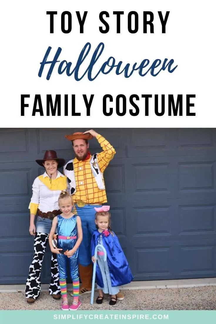 Toy Story Family Costume