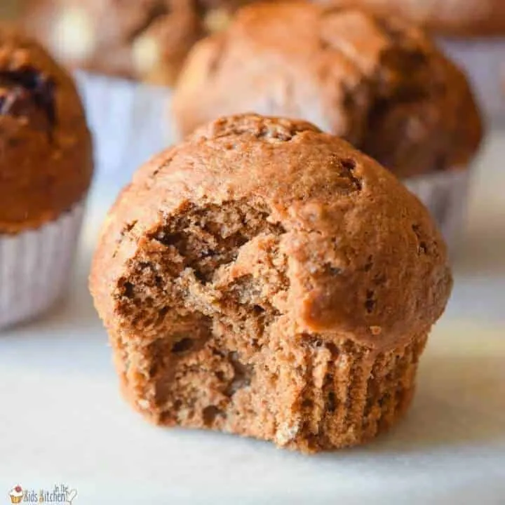 greek yogurt chocolate muffins