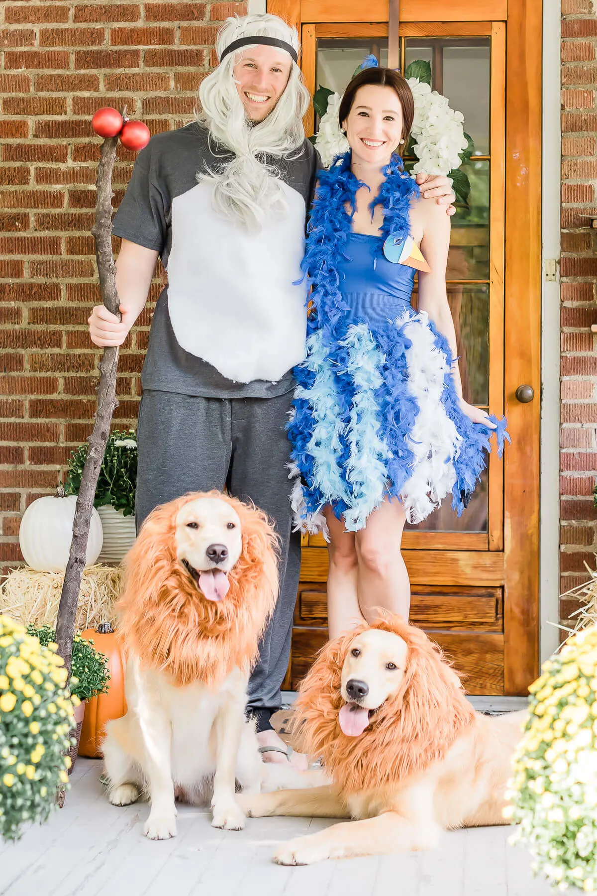 lion king family costume dog costumes