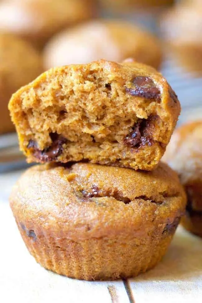 pumpkin chocolate chip muffins